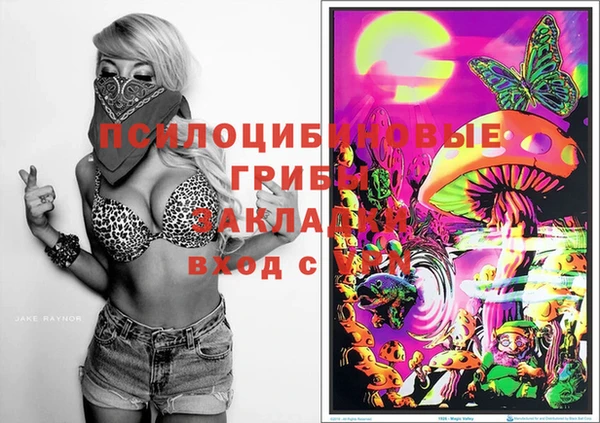 гашик Абдулино