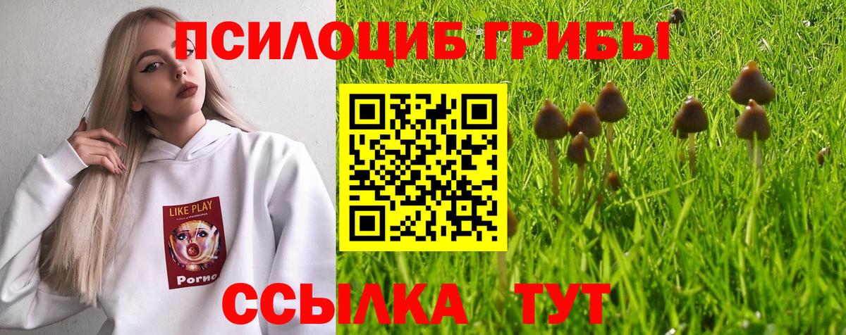 Галлюциногенные грибы Psilocybe Ишимбай