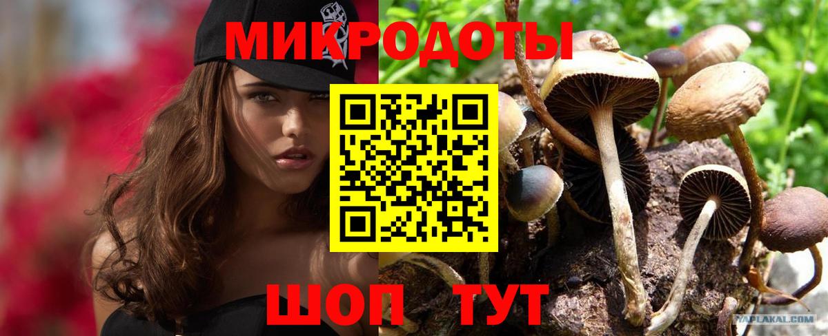 Галлюциногенные грибы Cubensis  Вход с VPN  Ишимбай 